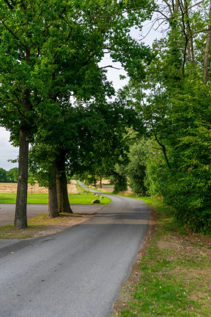Forestry seo